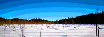 Skoterspår